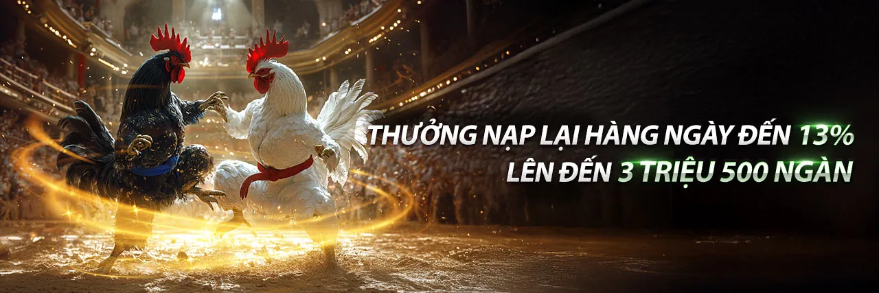 Đấu trường đá gà f1688 khuyến mãi sôi động